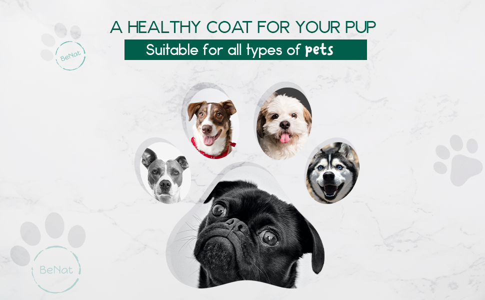 BeNat Natural Oat Pet Shampoo Bar