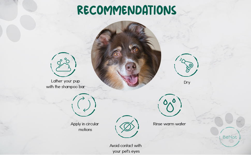 BeNat Natural Oat Pet Shampoo Bar