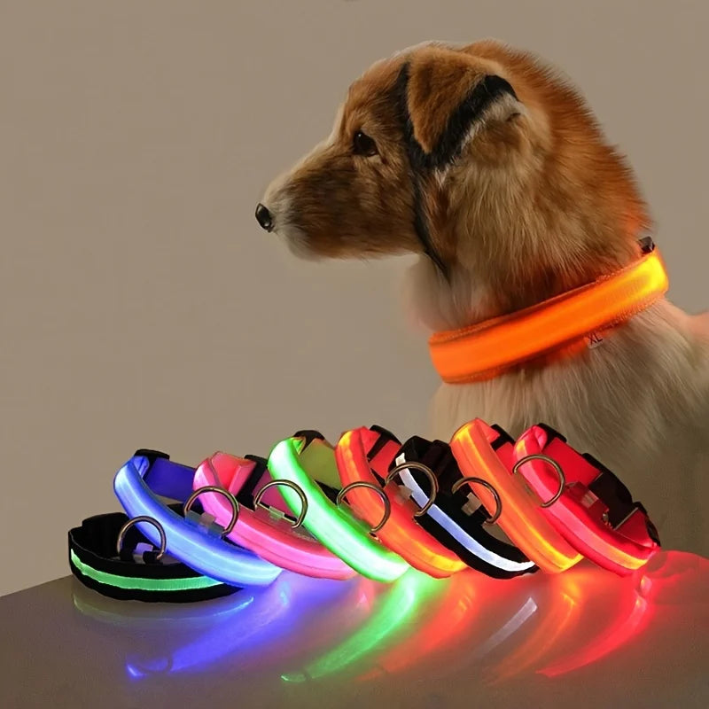 LED light-up dog collar for safer night walks