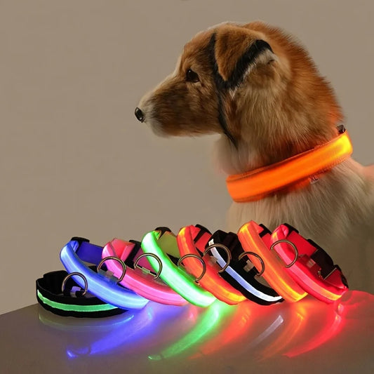 LED light-up dog collar for safer night walks