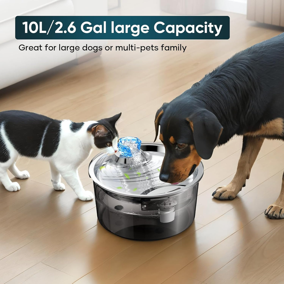 10-liter stainless steel pet water fountain for dogs and cats